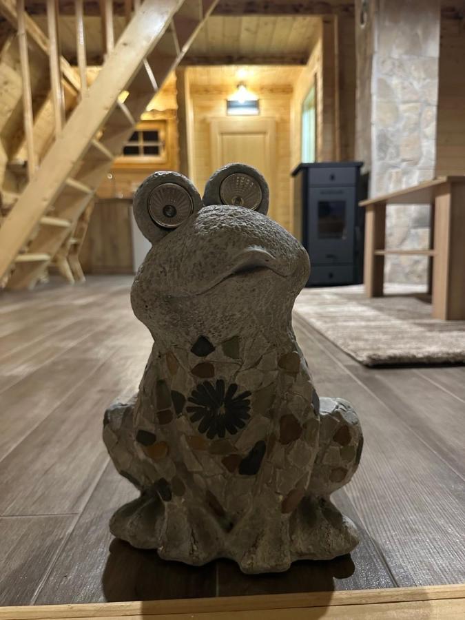 Frogland Lägenhet Žabljak Exteriör bild